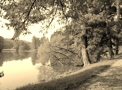 Szary + Sepia