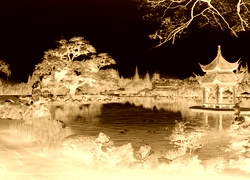 Sepia + Negatyw