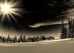 Sepia