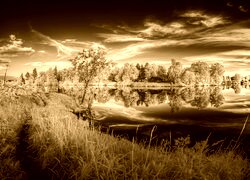 Sepia