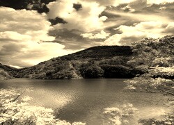 Szary + Sepia