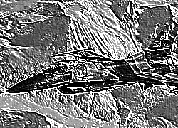 Skamielina