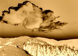 Sepia + Negatyw