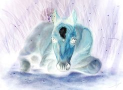 Negatyw