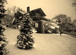 Szary + Sepia