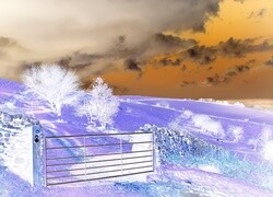 Negatyw