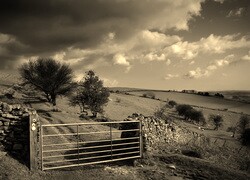 Szary + Sepia