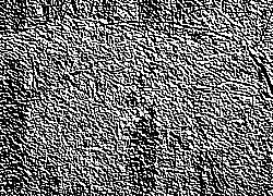Skamielina