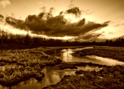 Sepia