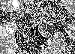 Skamielina