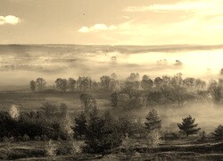 Szary + Sepia