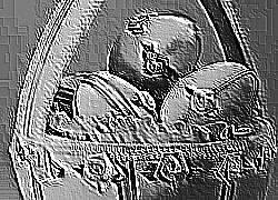 Skamielina