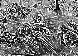 Skamielina