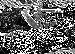 Skamielina