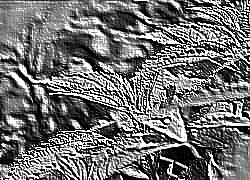 Skamielina