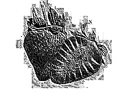 Skamielina