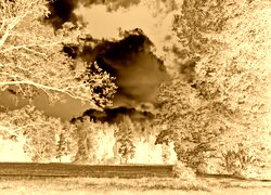 Sepia + Negatyw