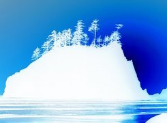 Negatyw