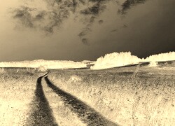 Sepia + Negatyw