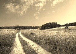Sepia