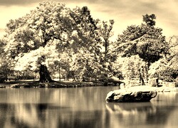 Szary + Sepia