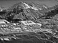 Skamielina