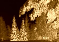 Sepia + Negatyw