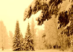Sepia