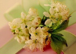 Oryginalny obrazek