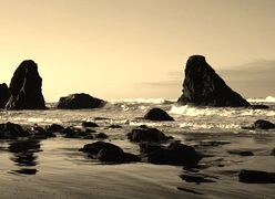 Szary + Sepia