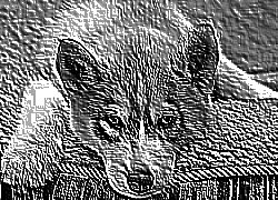 Skamielina