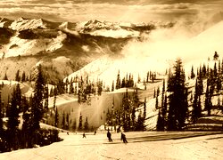 Sepia