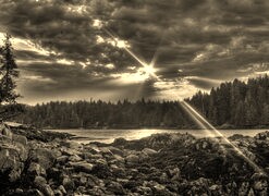 Szary + Sepia