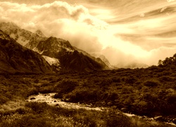 Sepia