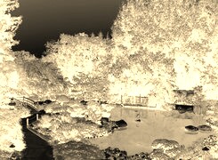 Sepia + Negatyw