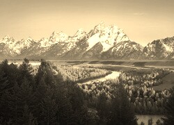 Szary + Sepia