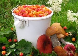 Oryginalny obrazek