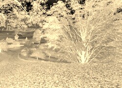 Sepia + Negatyw