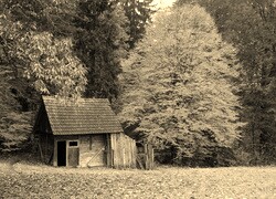 Sepia