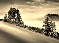 Szary + Sepia