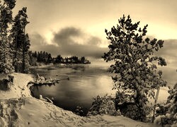 Szary + Sepia