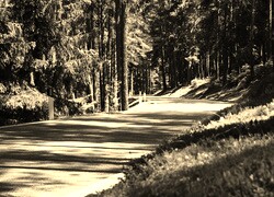 Szary + Sepia