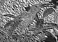 Skamielina