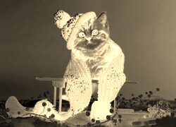 Sepia + Negatyw