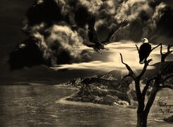 Sepia