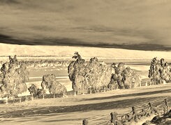 Sepia + Negatyw