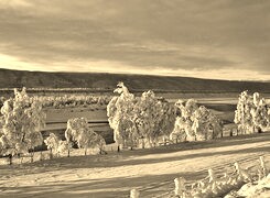 Sepia