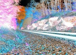 Negatyw