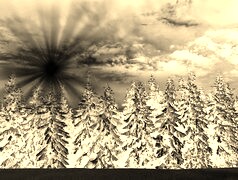 Sepia + Negatyw