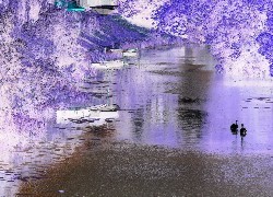 Negatyw